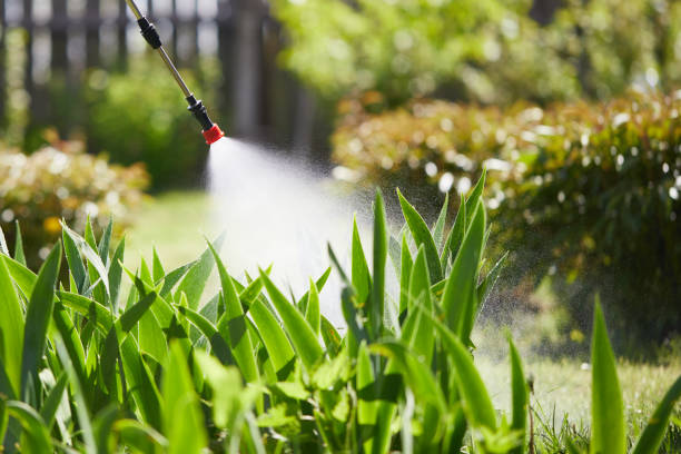 24/7 Emergency Cockroach Control experts in West Falls Church, VA