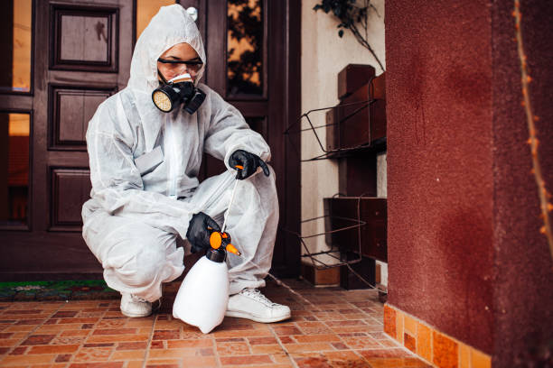 Reliable Cockroach Control contractor in West Falls Church, VA by Nex Pest Control
