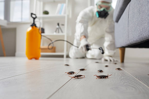 Trusted Emergency Pest Control service in West Falls Church, VA - Nex Pest Control