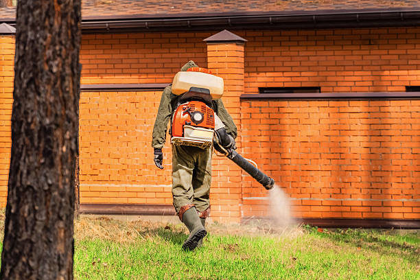 Trusted Mosquito Control service in West Falls Church, VA - Nex Pest Control